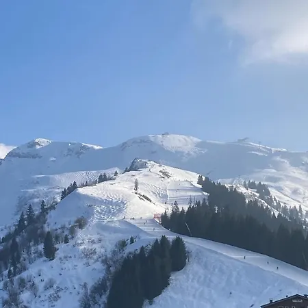 1600 Au Pied Des Pistes *